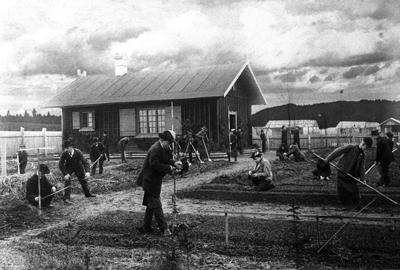 1907