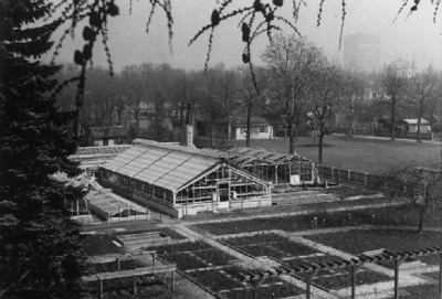 1958
