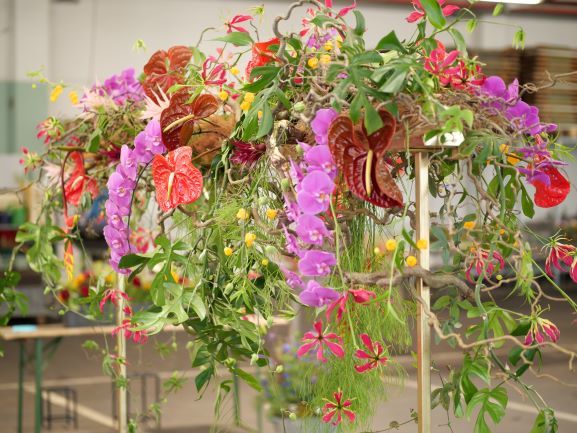 FloriAbschluss1