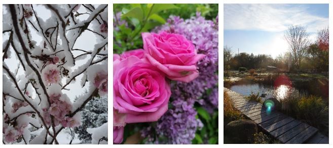 Fotowettbewerb
