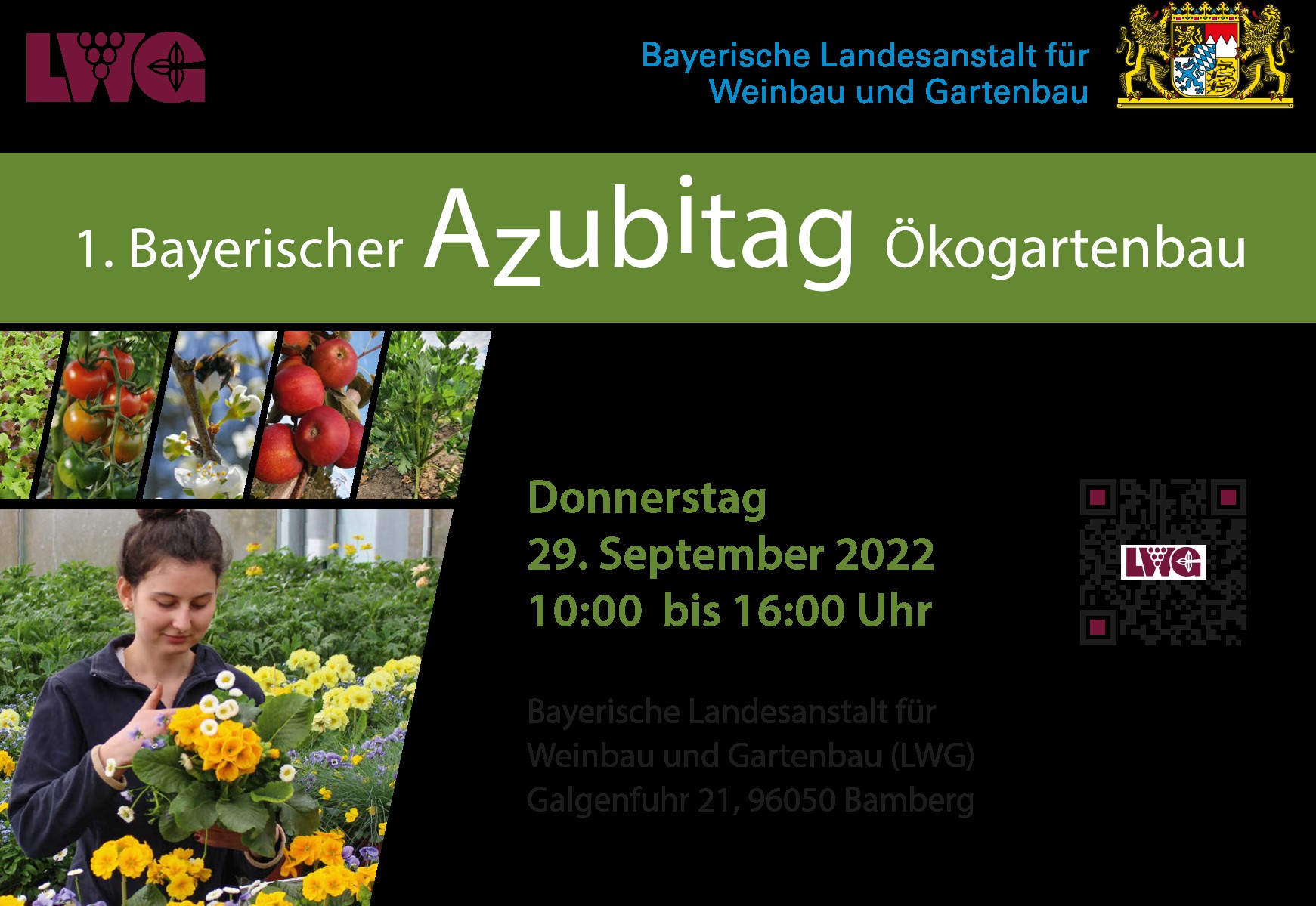Bild 1 Flyer Marion